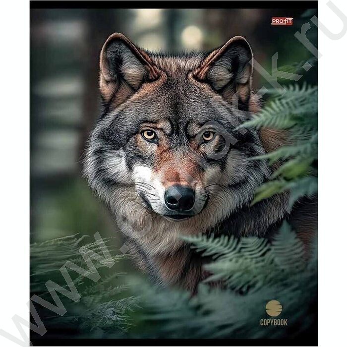 Тетрадь  48л клетка "Разные хищники" ассорти | Фото 4