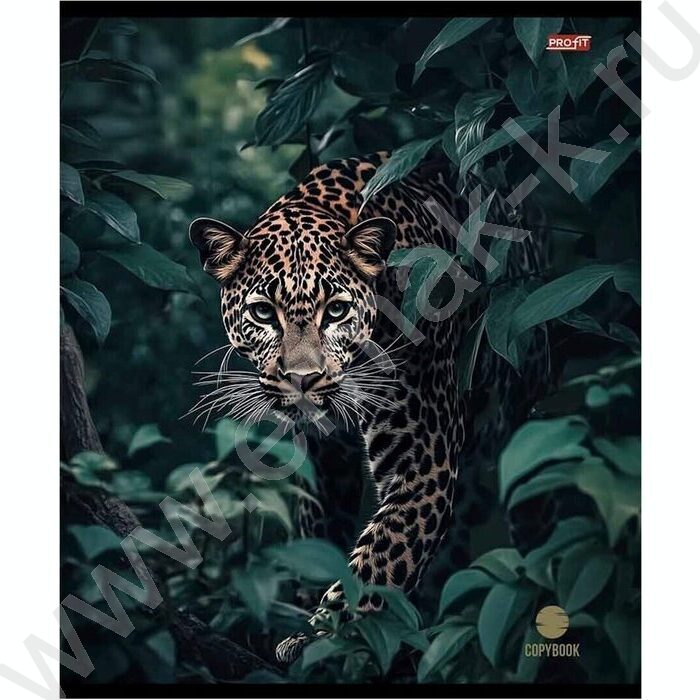 Тетрадь  48л клетка "Разные хищники" ассорти | Фото 5