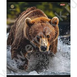 Тетрадь  48л клетка "Разные хищники" ассорти | Фото 6