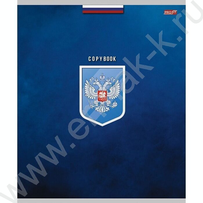 Тетрадь  48л клетка "Гербы" ассорти | Фото 4