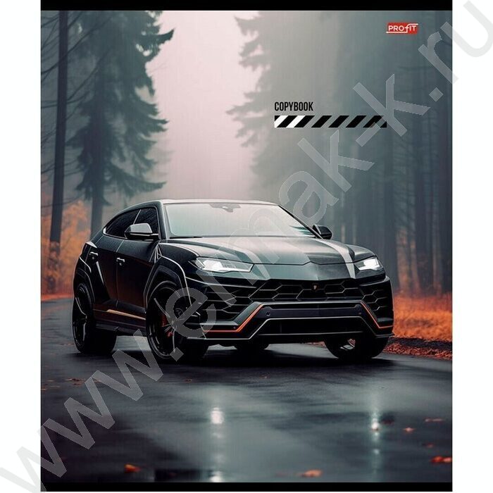 Тетрадь  48л клетка "Микс авто-2" ассорти | Фото 4