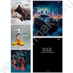 Тетрадь  48л клетка "Микс" ассорти | Фото 1