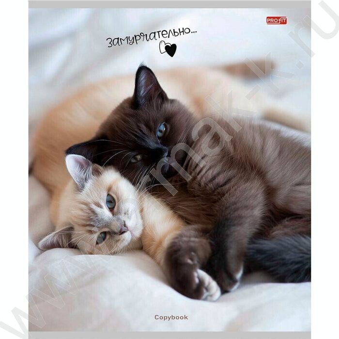 Тетрадь  48л клетка "Микс" ассорти | Фото 2