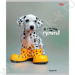 Тетрадь  48л клетка "Микс" ассорти | Фото 3