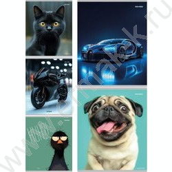 Тетрадь  48л клетка "Микс" ассорти | Фото 1