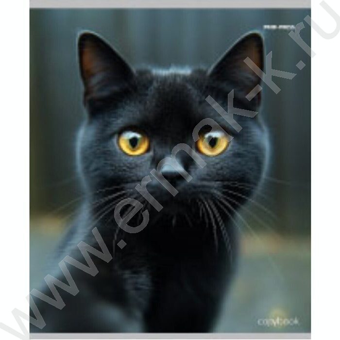 Тетрадь  48л клетка "Микс" ассорти | Фото 2