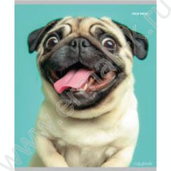 Тетрадь  48л клетка "Микс" ассорти | Фото 6