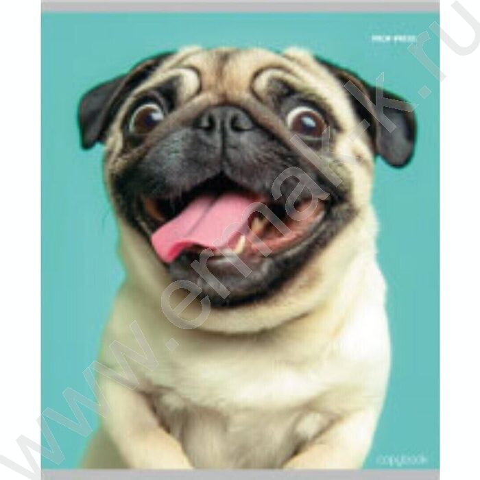 Тетрадь  48л клетка "Микс" ассорти | Фото 6