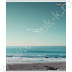 Тетрадь  80л клетка "Виды природы-2" ассорти | Фото 3