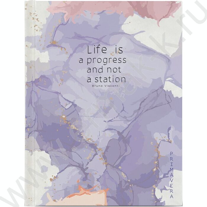 Тетрадь  80л клетка/кольца "PrimaVera" сменный блок | Фото 1