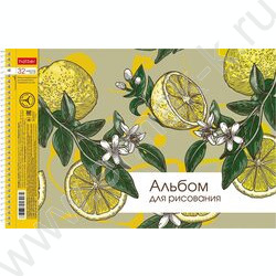 Альбом д/рисования-спираль 32л "Ассорти- Выпуск №4" /перфорация/ 5видов NEW | Фото 1