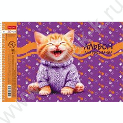 Альбом д/рисования-спираль 40л "Мы-котики!" /перфорация/ 4вида NEW | Фото 1