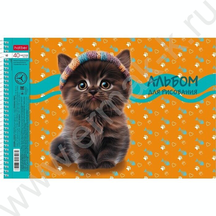 Альбом д/рисования-спираль 40л "Мы-котики!" /перфорация/ 4вида | Фото 4