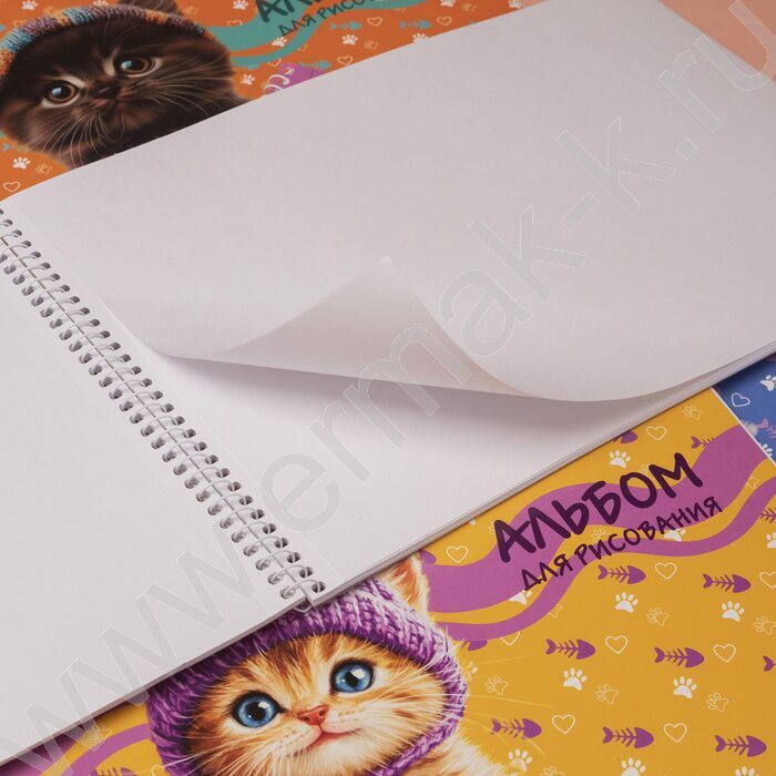 Альбом д/рисования-спираль 40л "Мы-котики!" /перфорация/ 4вида | Фото 5