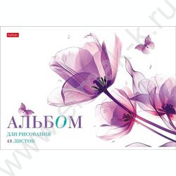 Альбом д/рисования пл.обл. 48л "Ассорти- Выпуск №1" NEW | Фото 2