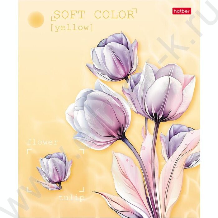 Тетрадь  80л клетка "Эстетика цветов" /ламинация Soft-touch/ 5видов | Фото 5