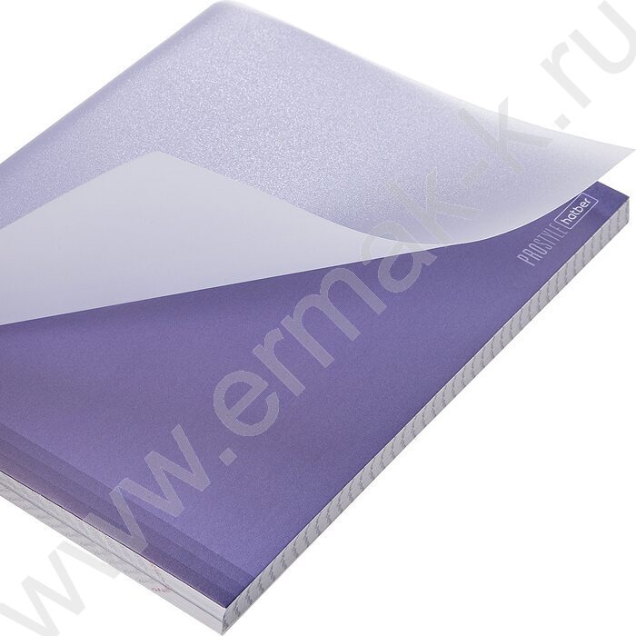 Тетрадь  96л клетка/пластик обл. "PROстиль" ассорти | Фото 6