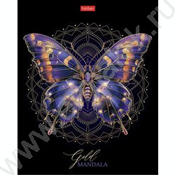 Тетрадь  96л клетка "Золотая романтика" /3D фольга/мат.лам./ 5видов NEW | Фото 1