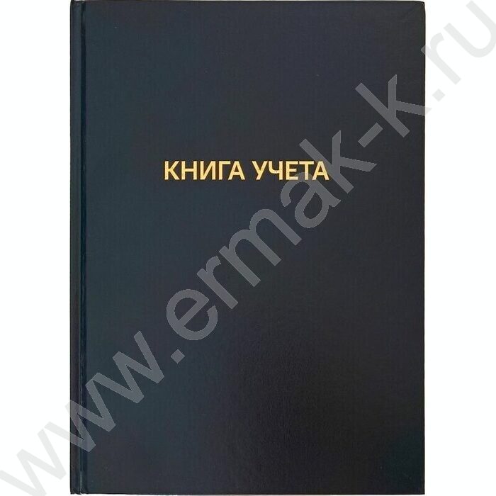 Книга Учёта  96л клетка б/вин офсет 60г/м2 92%, твердая обложка из бумвинила, тиснение фольгой | Фото 1