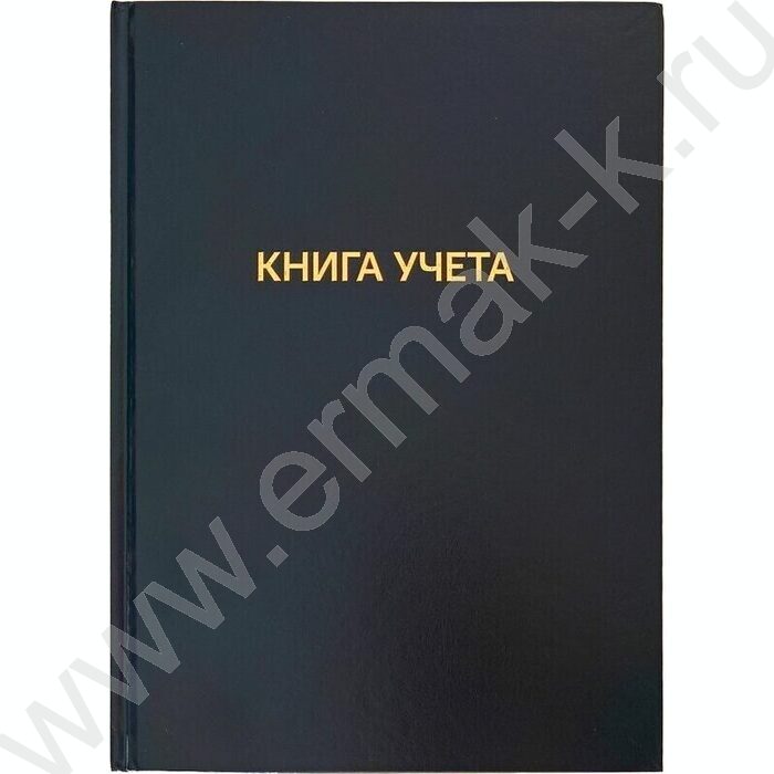 Книга Учёта 192л клетка б/вин офсет 60г/м2 92%, твердая обложка из бумвинила, тиснение фольгой | Фото 1