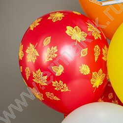 Шар воздушный 12" шелк рис. 2ст.+5ст. Праздник 1 Сентября! Вперёд к знаниям! 2цв. 5 дизайнов NEW | Фото 5