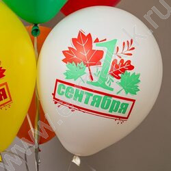 Шар воздушный 12" шелк рис. 1ст. Праздник 1 Сентября! Листья 2цв. NEW | Фото 4