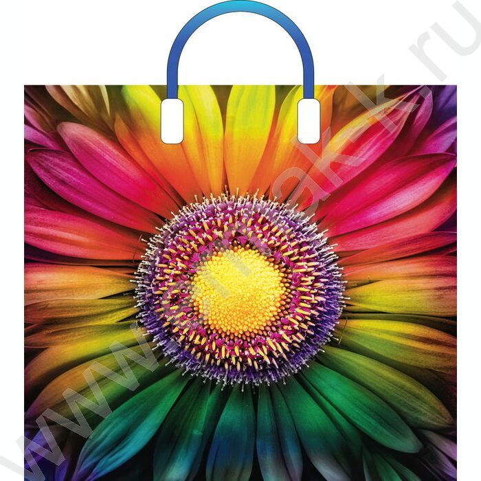 Пакет полиэтиленовый с пластиковой ручкой 38*34см Радужный | Фото 1