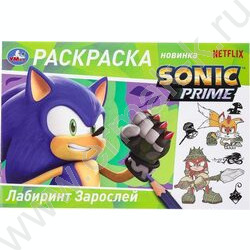 Раскраска А5 Лабиринт Зарослей NEW | Фото 1