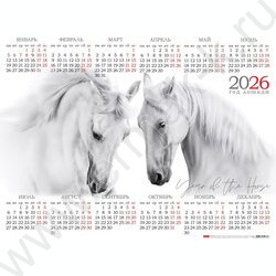 Календарь настенный листовой А2 60*45см 2026г "Парочка" /с укрупненной сеткой NEW | Фото 1