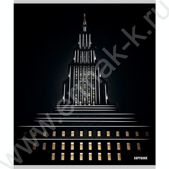 Тетрадь  48л клетка "Городской минимализм" /твин-лак/ ассорти | Фото 2