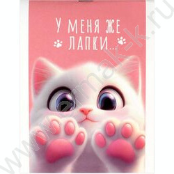 Блокнот  40л А6 "Кошачьи лапки" /глянц.лам.,мат.лам./ NEW | Фото 1