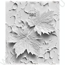 Тетрадь  48л клетка "Дыхание вечности" /тиснение/ 5видов NEW | Фото 3