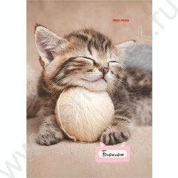 Блокнот  24л А6 "Милые котята-1" ассорти NEW | Фото 2