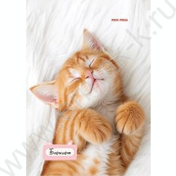 Блокнот  24л А6 "Милые котята-1" ассорти NEW | Фото 4