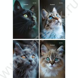 Блокнот  24л А6 "Портретные фото котов-3" ассорти NEW | Фото 1
