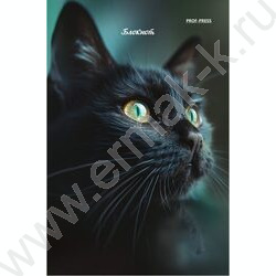 Блокнот  24л А6 "Портретные фото котов-3" ассорти NEW | Фото 2