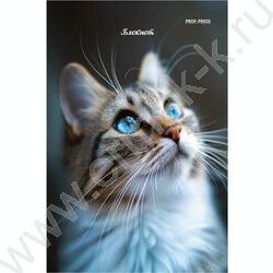 Блокнот  24л А6 "Портретные фото котов-3" ассорти NEW | Фото 3