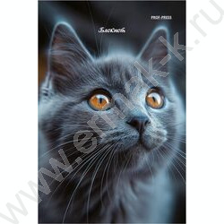 Блокнот  24л А6 "Портретные фото котов-3" ассорти NEW | Фото 4