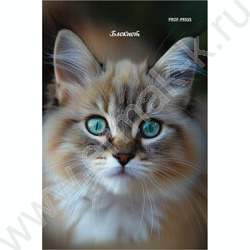 Блокнот  24л А6 "Портретные фото котов-3" ассорти NEW | Фото 5