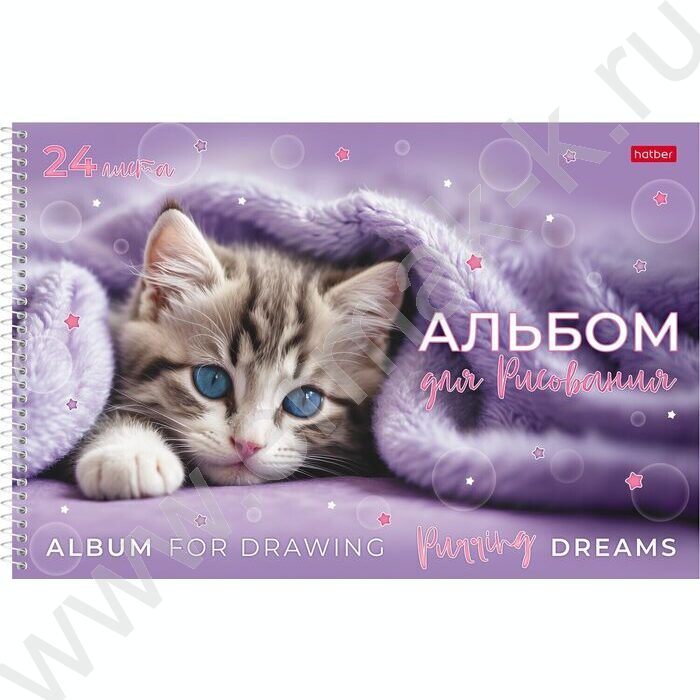 Альбом д/рисования-спираль пл.об. 24л "Нежные мечты" ассорти | Фото 1