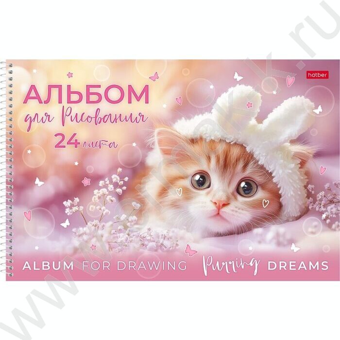 Альбом д/рисования-спираль пл.об. 24л "Нежные мечты" ассорти | Фото 2
