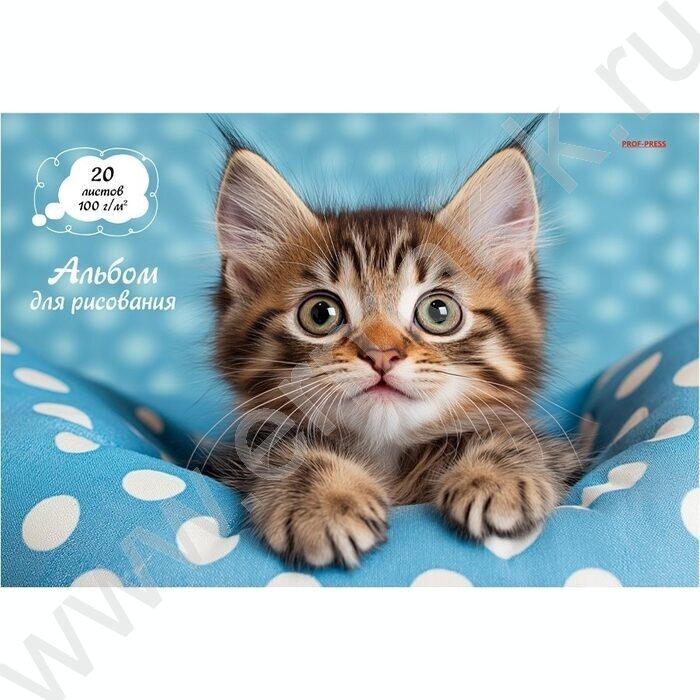 Альбом д/рисования 20л "Милый котик-2" ассорти | Фото 1