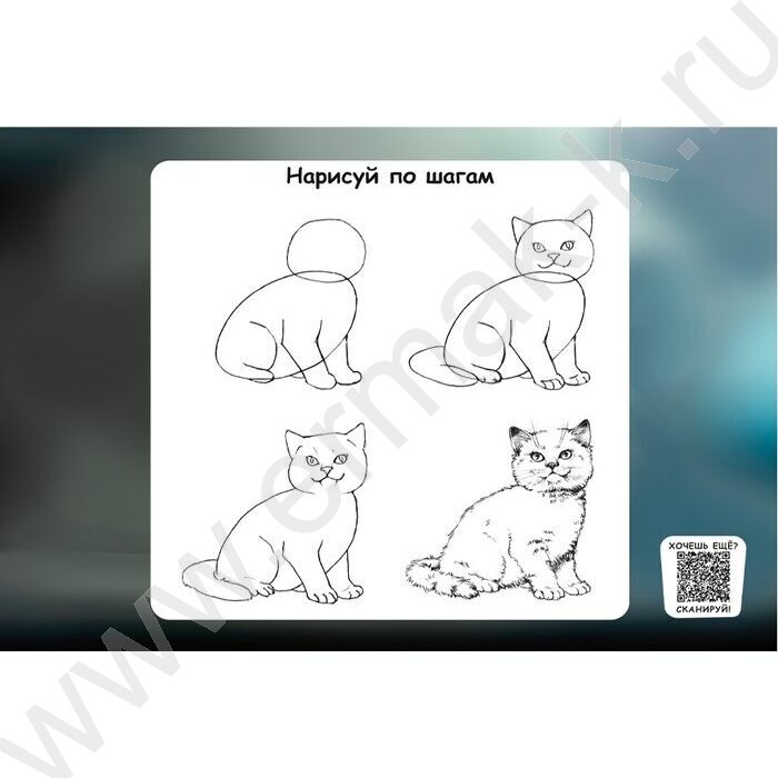 Альбом д/рисования 24л "Котёнок-2" ассорти | Фото 3