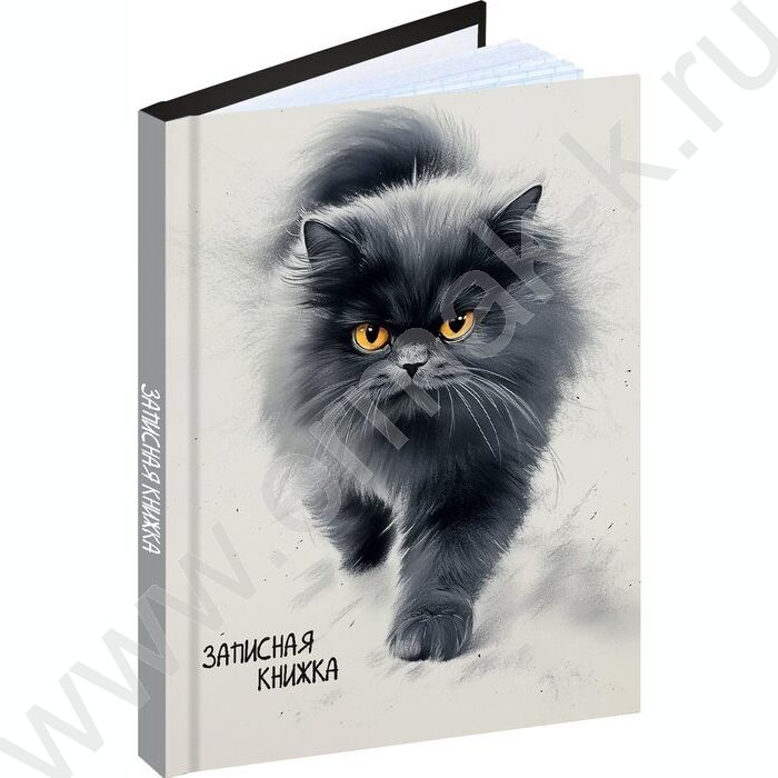 Зап. книжка  96л А6 тв.обл. "Пушистый кот-5" /глянец/ | Фото 1