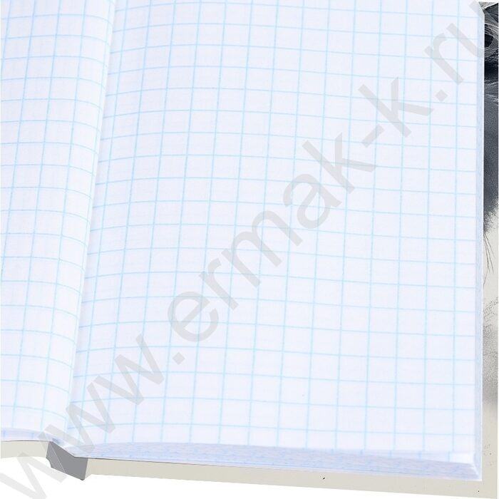 Зап. книжка  96л А6 тв.обл. "Пушистый кот-5" /глянец/ | Фото 3