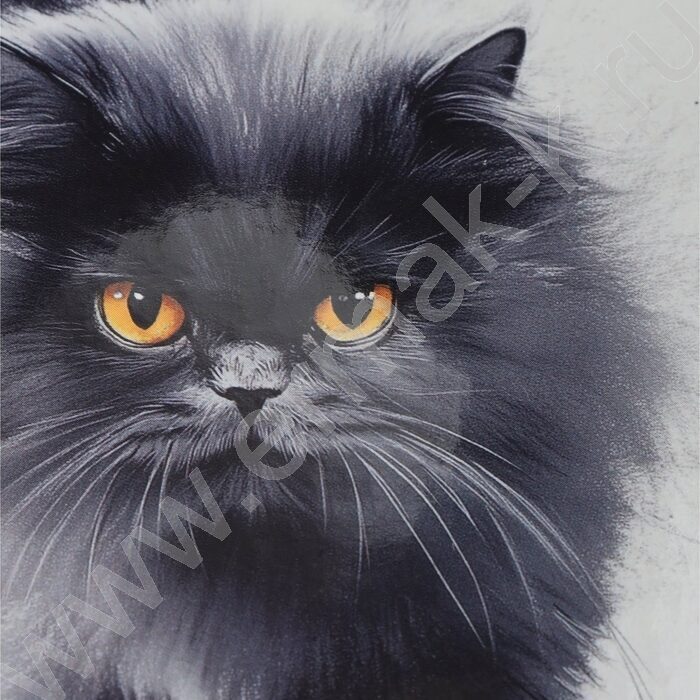 Зап. книжка  96л А6 тв.обл. "Пушистый кот-5" /глянец/ | Фото 5