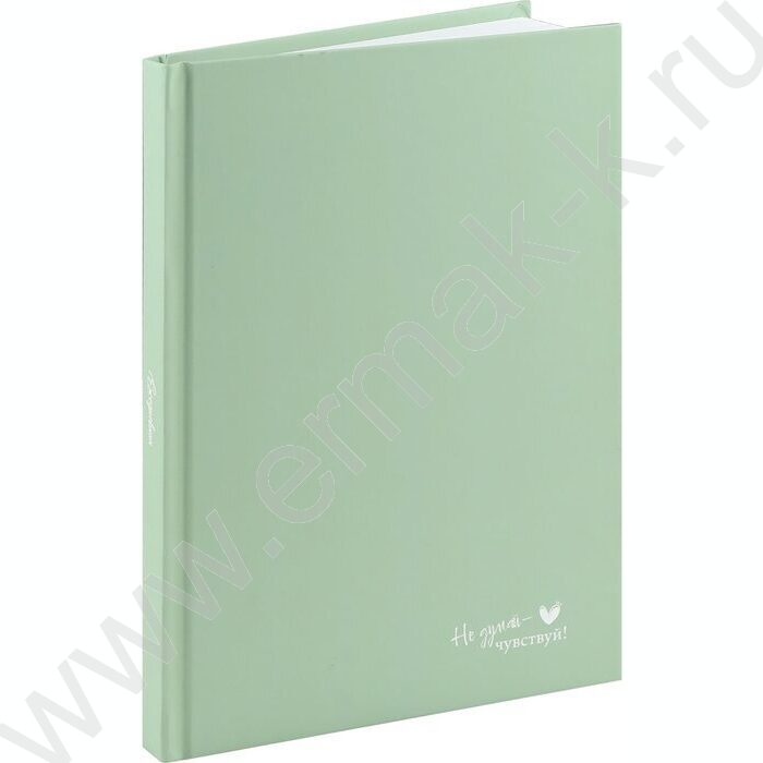 Ежедневник н/дат А5 128л Пастельный зеленый /тв.обл.,софт-тач/ | Фото 1
