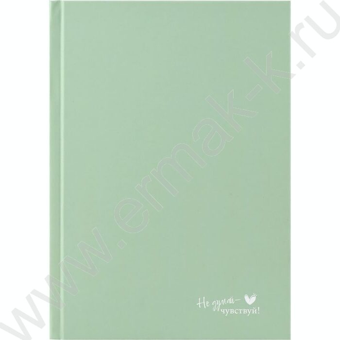 Ежедневник н/дат А5 128л Пастельный зеленый /тв.обл.,софт-тач/ | Фото 2