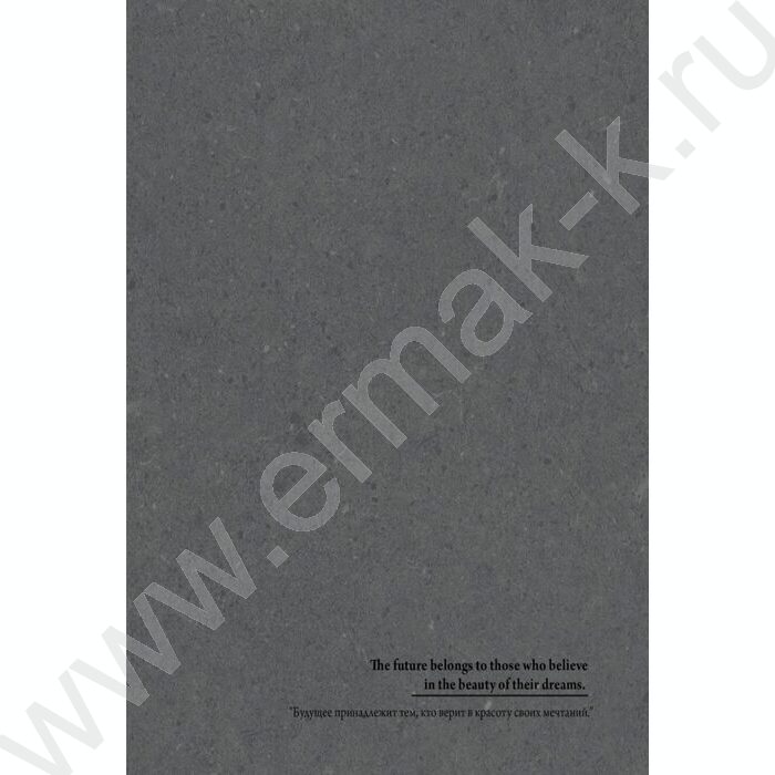 Тетрадь  96л А4 клетка/спираль "Минимализм и фразы-3" /софт-тач/ | Фото 3