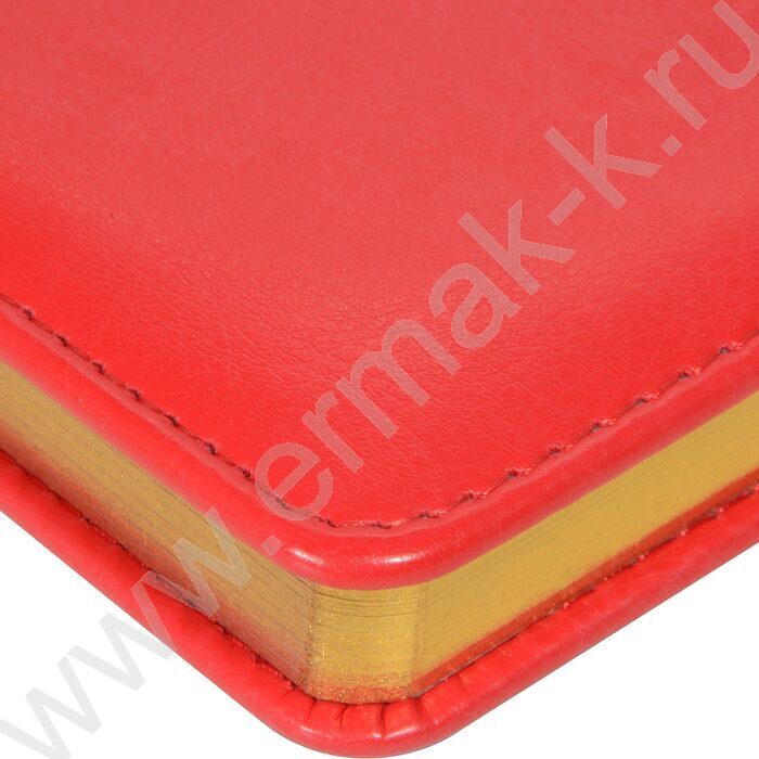 Ежедневник н/дат А5 136л Sidney Nebraska красный/золотой обрез,ляссе,линейка | Фото 3